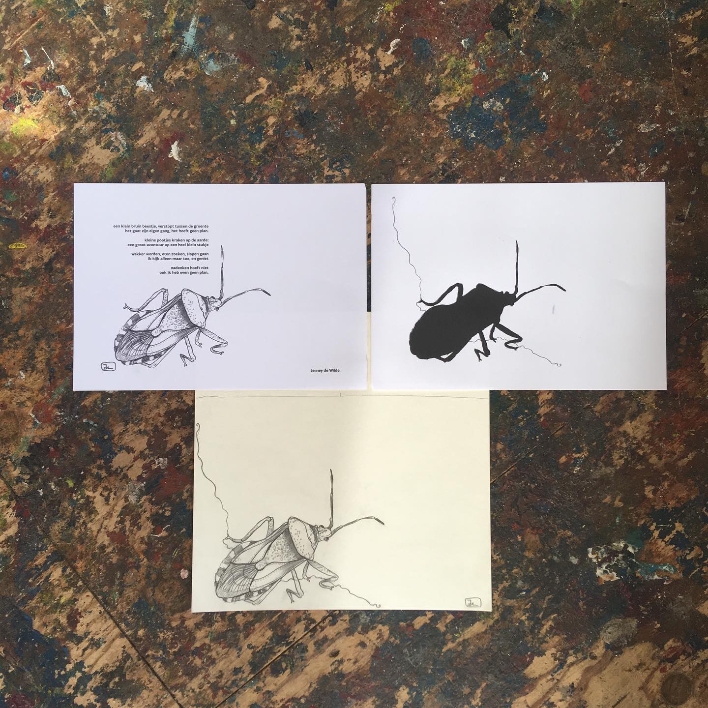 For @cultuurvlinder ‘s new project Buitenkamerworkshops, we made a little example booklet to show the workshop participants how Riso printing works. Participants will also be making a poem, so we made some too. These are the drawing and the preparation for riso, which I will show in my next post :).The little bug is called a Stinkbug (I just discovered haha!) In Dutch we call it a “grauwe schildwants” because of it’s gorgeous shield. I love discovering them @inhettoverbosch ????.#schildwants #stinkbug #grauweschildwants #riso #grafischewerkplaatsdenhaag #printmaking #grafiek #bookmaking
