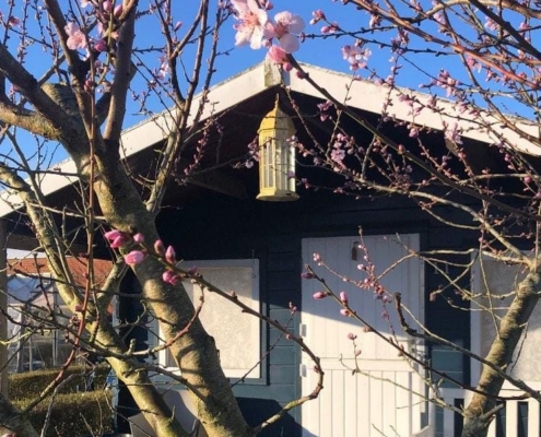 Verftuin de Wilde Weelde