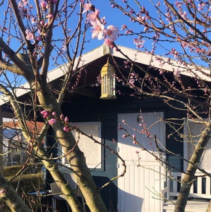 Verftuin de Wilde Weelde