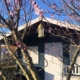 Verftuin de Wilde Weelde