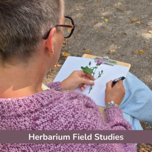 Herbarium Field Studies | 1-day workshop