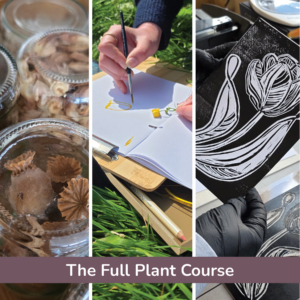The Full Plant Course | 6 lesson course