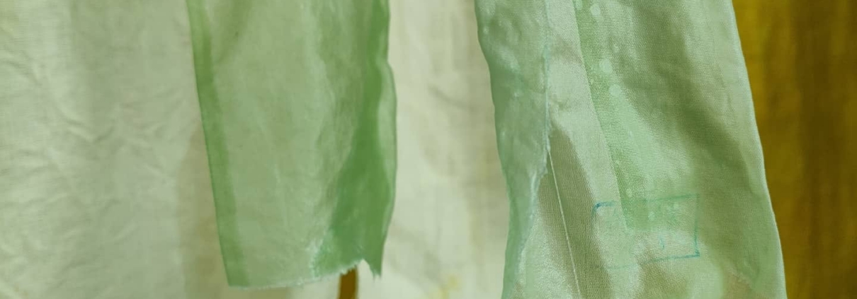 Natural Dyeing with Ellysium