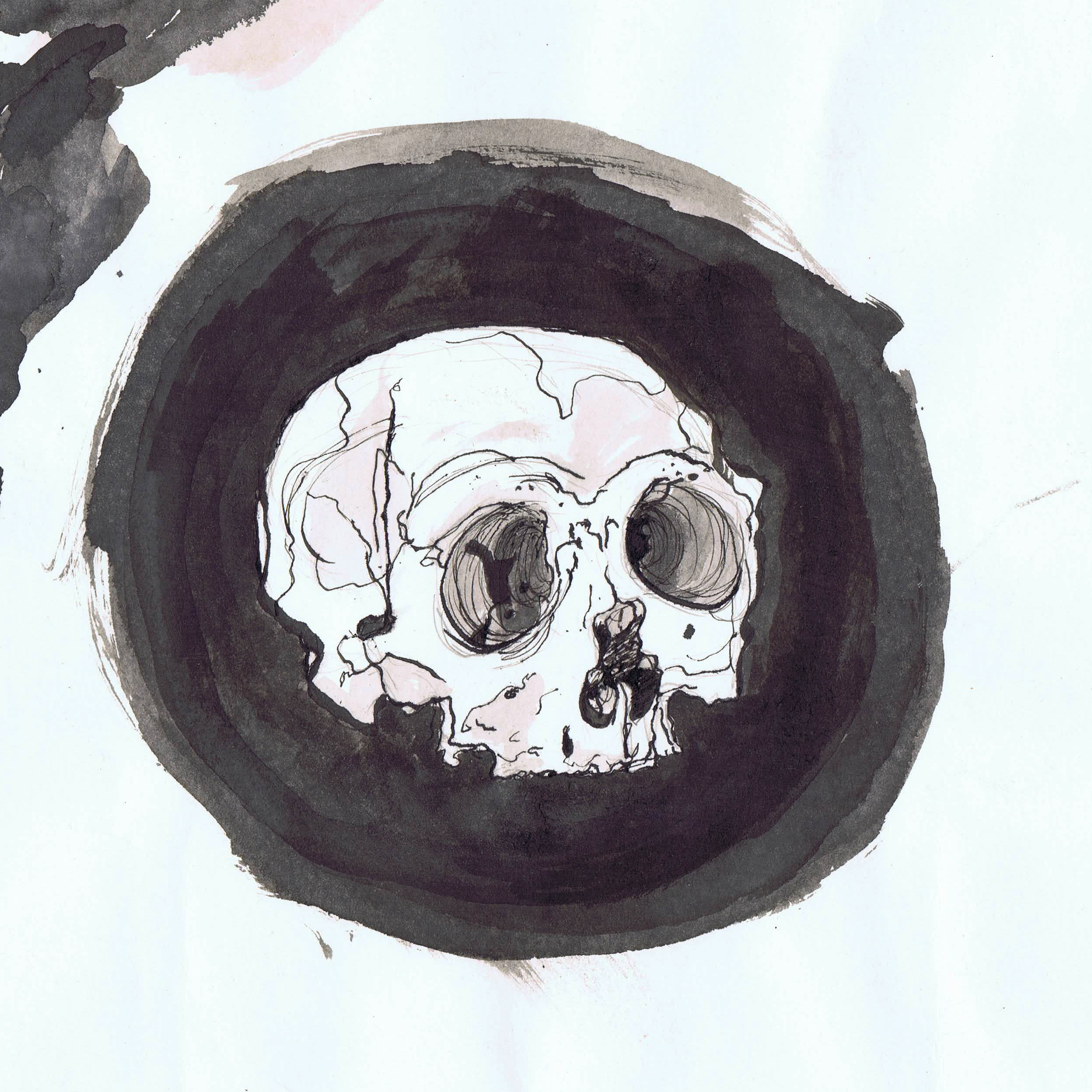 Skull Skull
